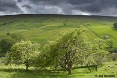 _DSC1628_Langstrothdale.jpg