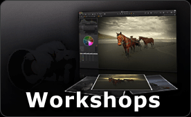 Workshops